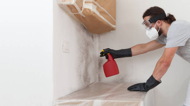 Attic Mold Remediation treatment on roof deck in Streamwood