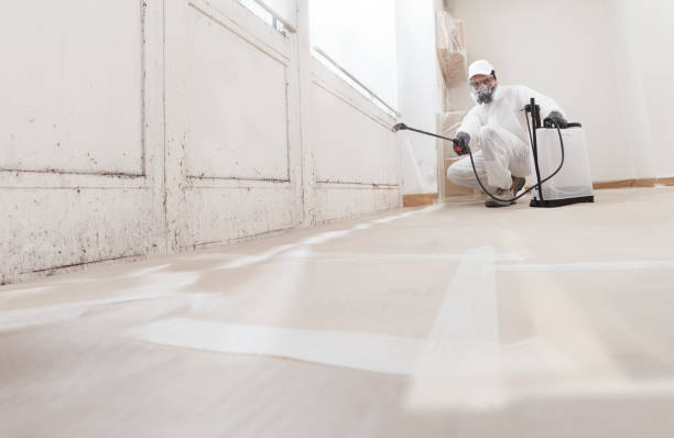 Post-remediation clearance in Streamwood